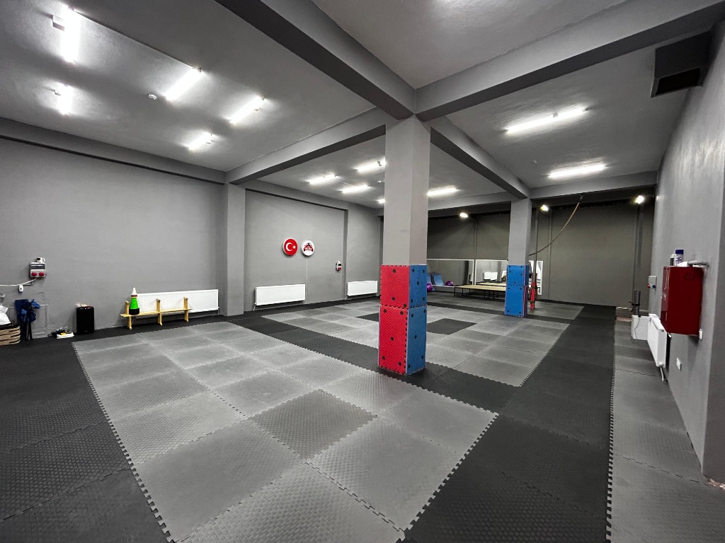 ANTRENMAN VE DOJO ALANI