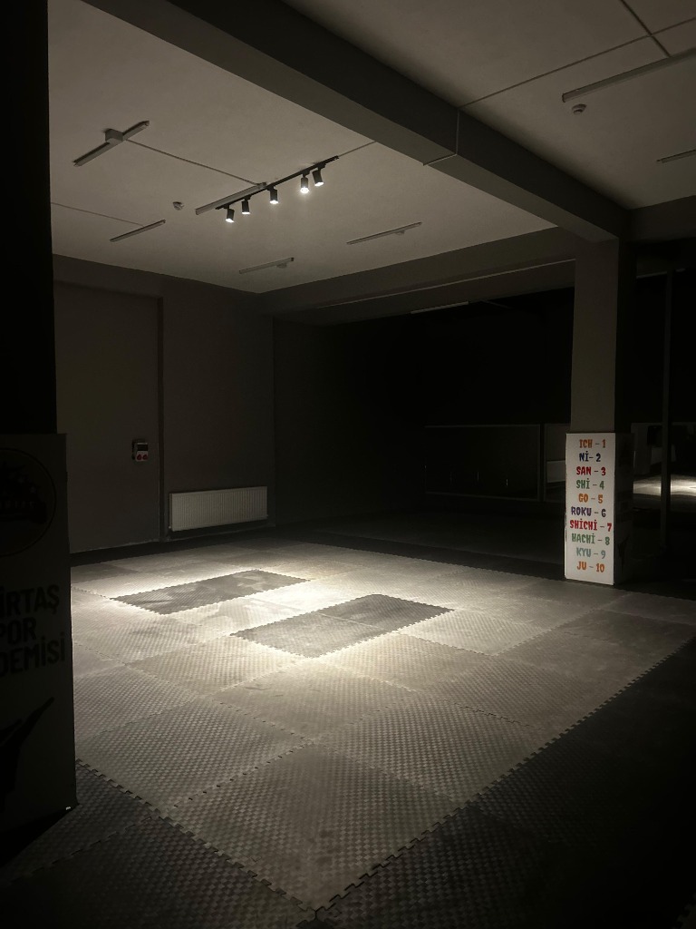 ATMOSFERİK ANLAR / DOJO GECE
